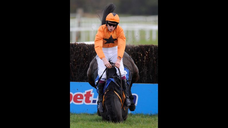 James Reveley falls from Wayward Frolic during the Gain Horse Feeds Novices' Steeple Chase on November 6 in Exeter, England.