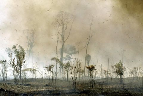 Riberalta, the largest town of Bolivia's Amazon region, is engulfed with fire during September 2005. The Amazon region saw widespread wildfires that turned the rainforest into a carbon source rather than a carbon sink. 