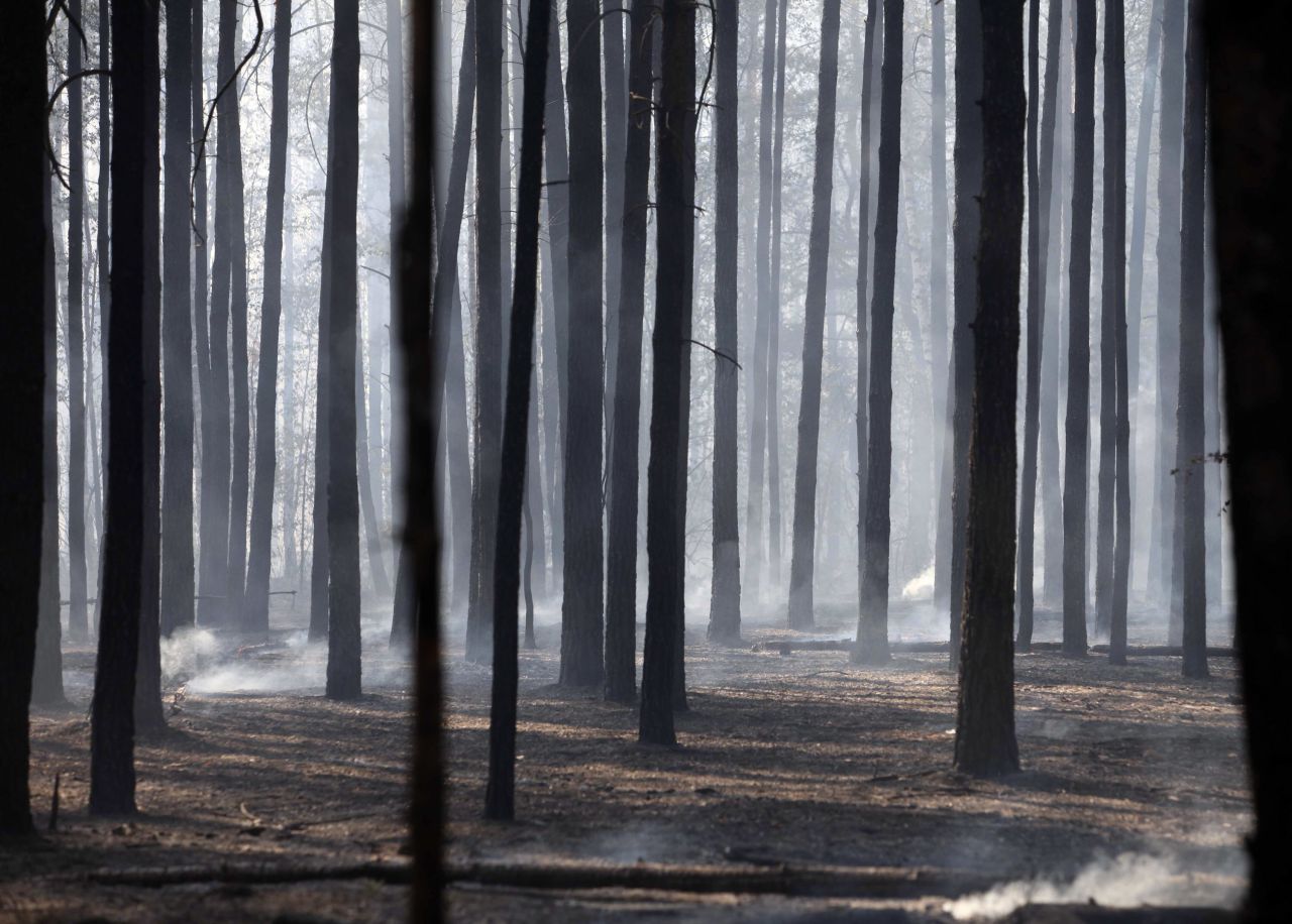 Forest fires engulfed more than 110,000 hectares across Russia during the summer of 2010. Here, a stand of charred birch and evergreen trees is filled with drifting smoke on the outskirts of the city of Voronezh. 