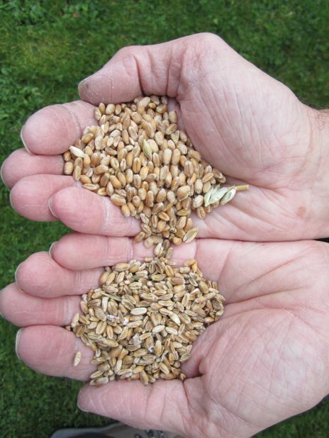 The UK's wettest summer in a century resulted in low yields and poor quality grain. Elsewhere the U.S. MidWest suffered a drought.