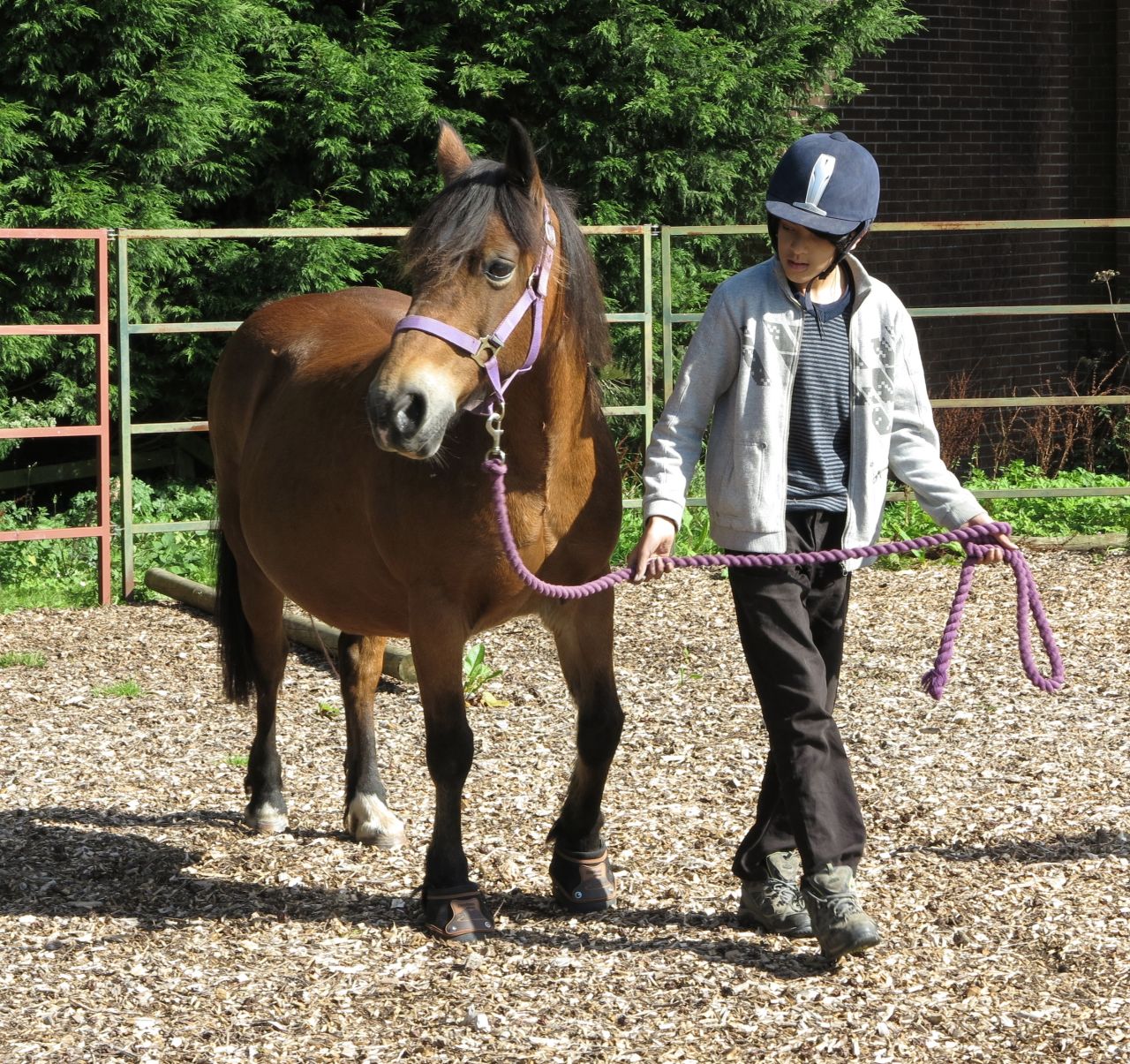 For patients coming from traumatic home lives, the fresh air of the great outdoors and chance to socialize, are just as much a part of the healing process as the horses themselves.