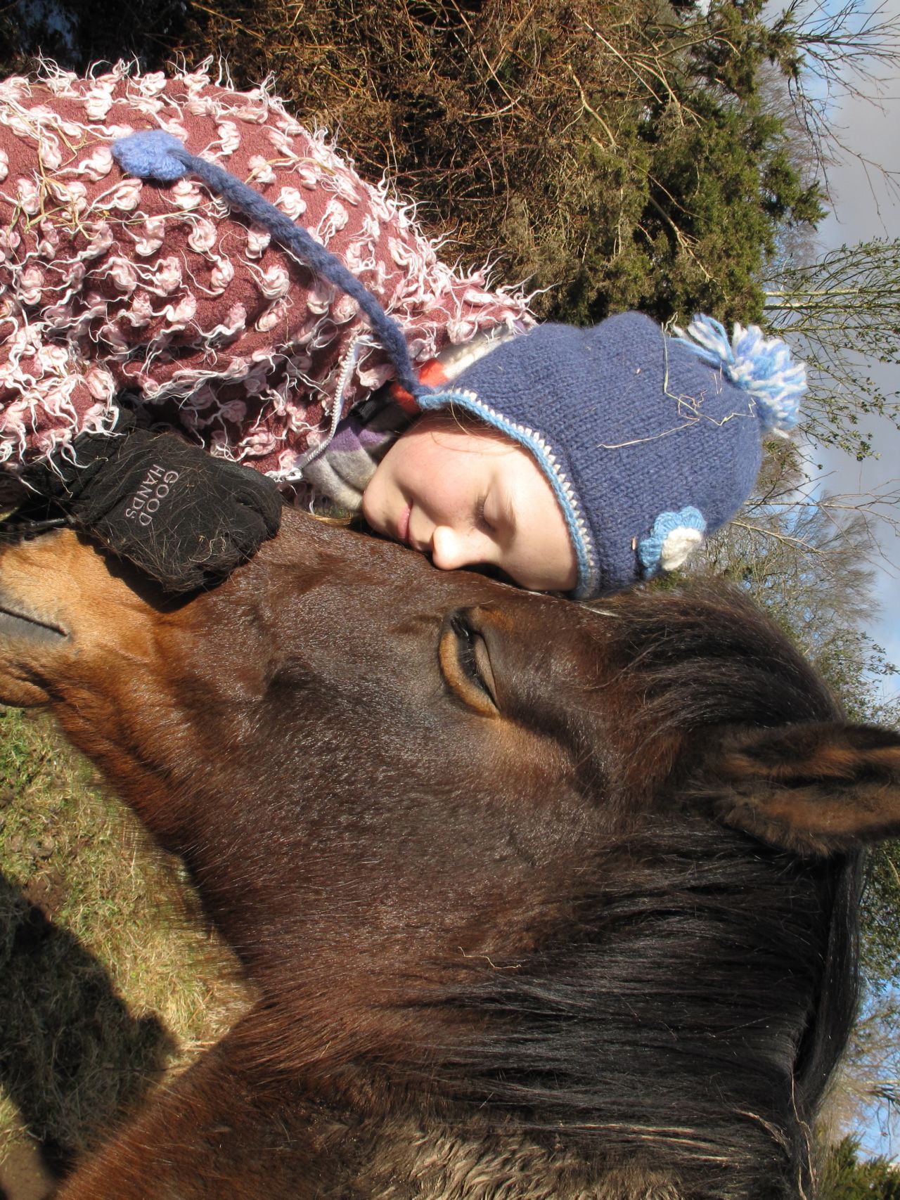 A youngster at Sirona Therapeutic Horsemanship in Devon shares a special moment with one of the clinic's five horses. Equine therapy may help people suffering from depression, bipolar disorder, phobias, anger issues and trauma.