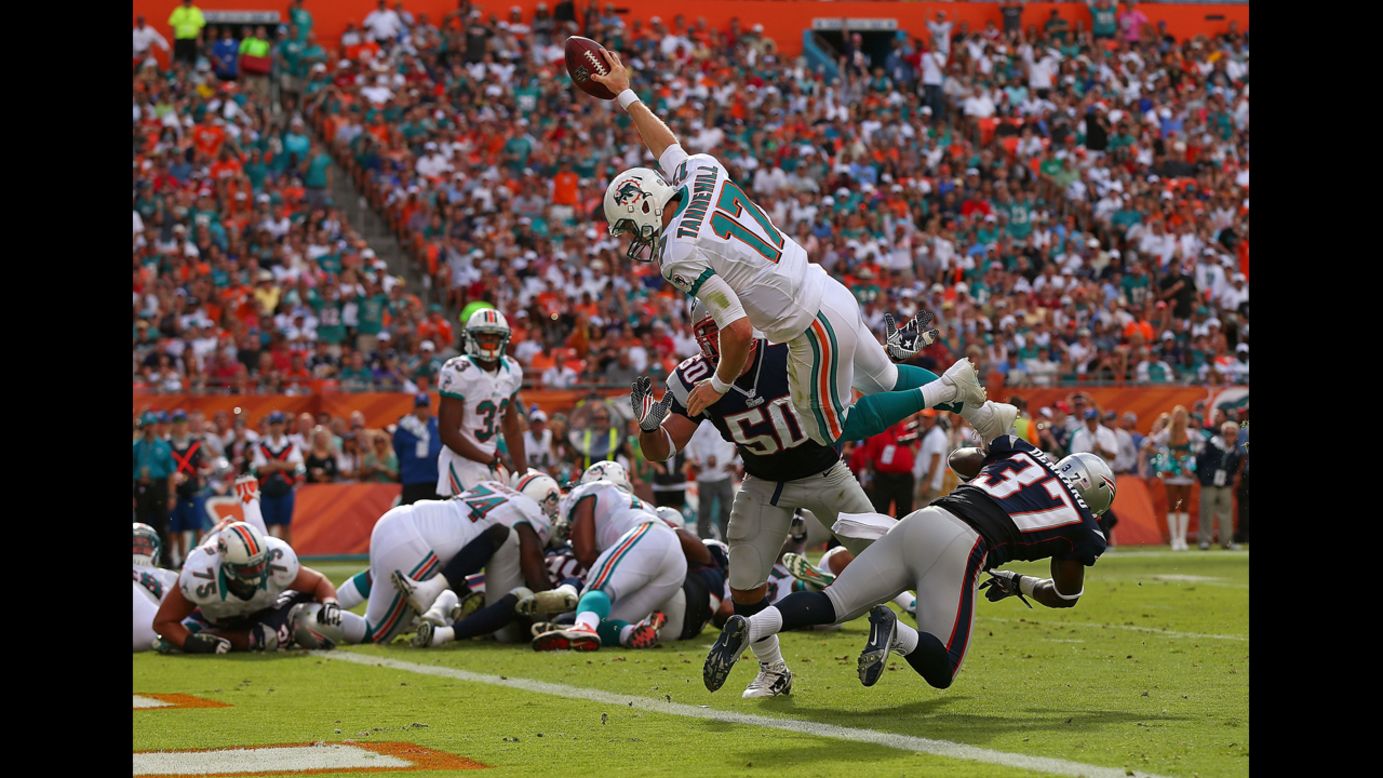 Ryan Tannehill of the Miami Dolphins dives for a touchdown against the New England Patriots at Sun Life Stadium on Sunday in Miami Gardens, Florida.