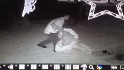 dnt tx thief caught stealing xmas decorations_00004805