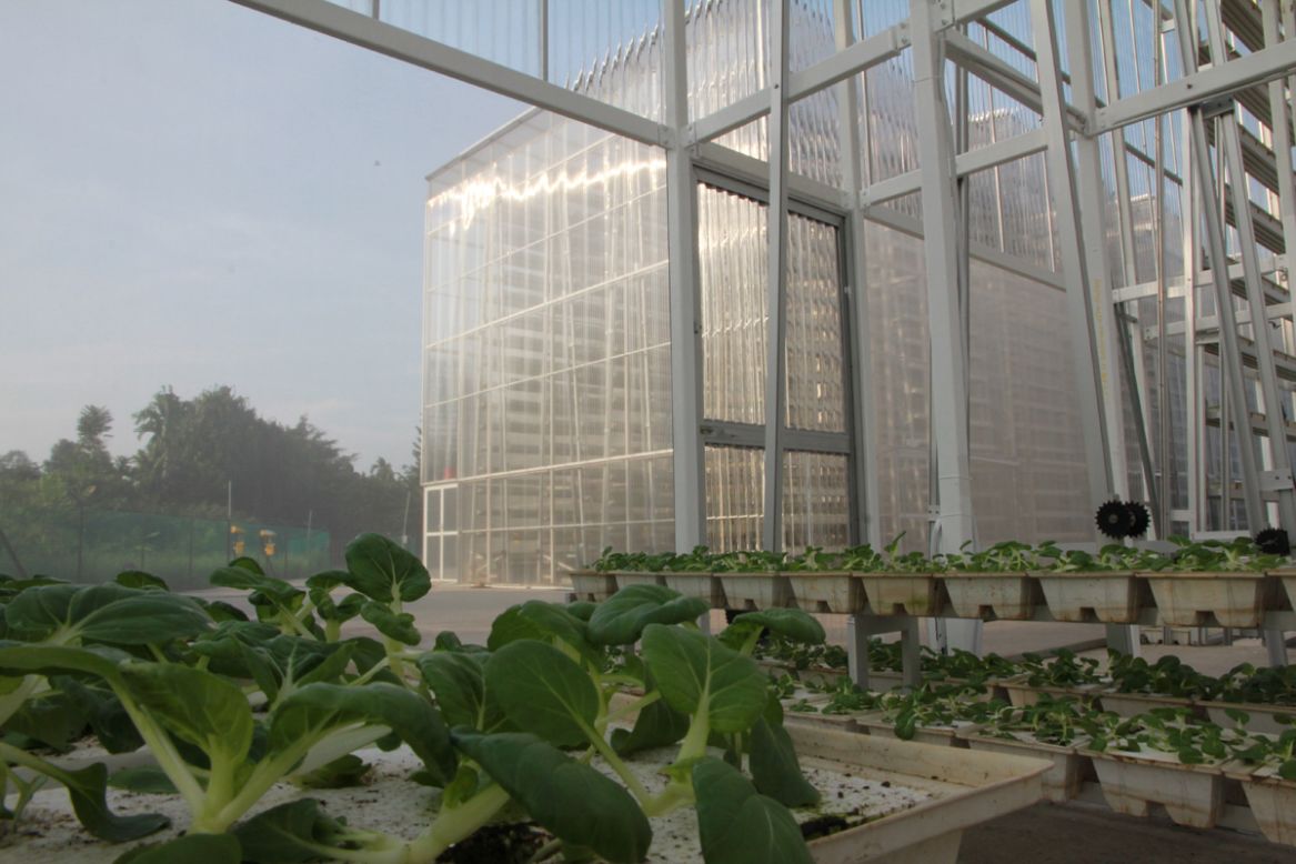 <strong>Sky Greens, Singapore -- </strong>The farm's first prototype was built back in 2009, with a fully-operational center in place since 2012.