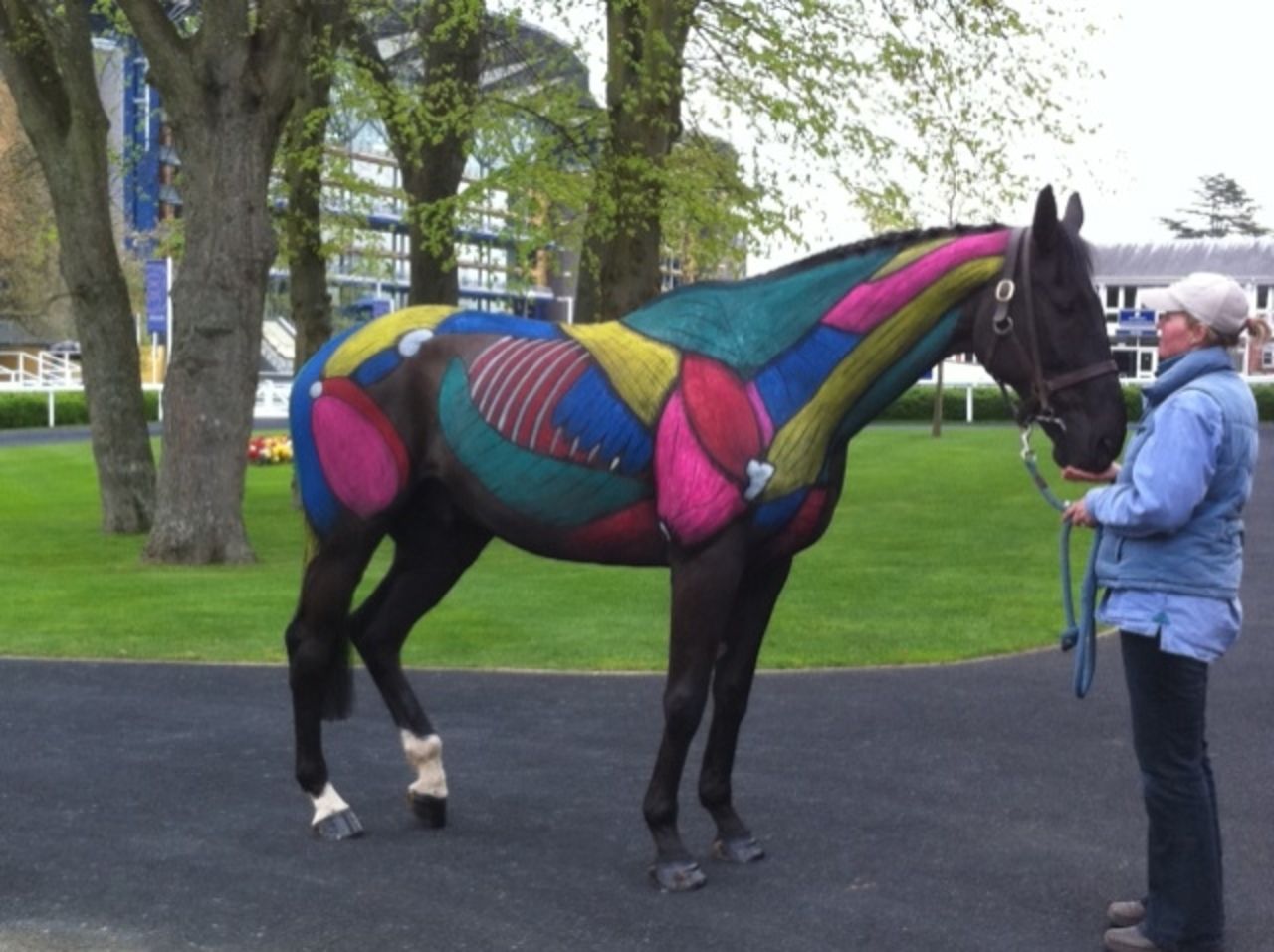 It usually takes around four hours to paint each thoroughbred, such as this one which Rossa displayed at Royal Ascot race course. 