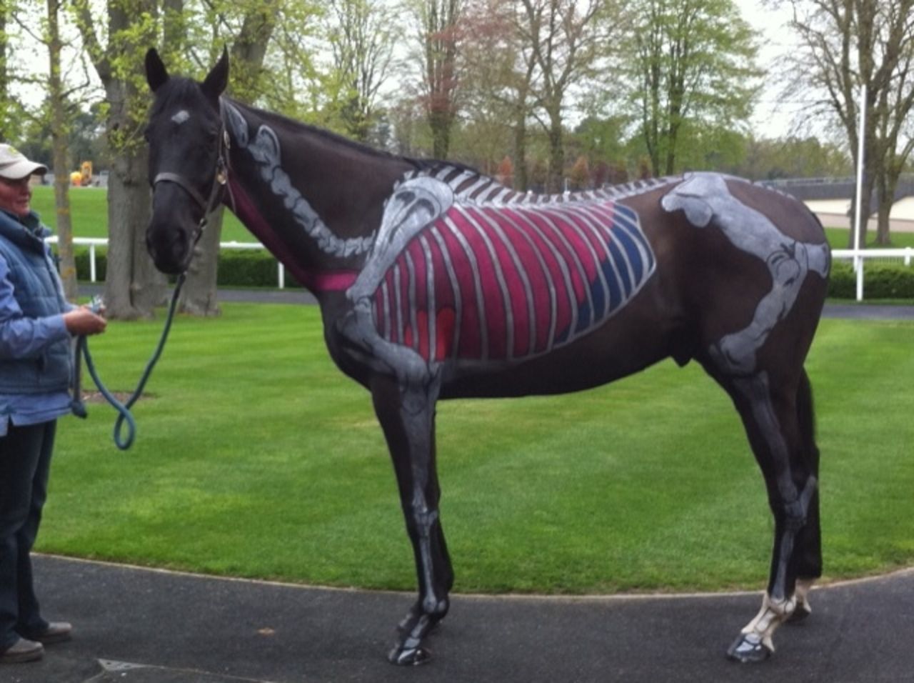 The carefully painted horses are displayed at races and equine teaching events across Britain, such as this horse by massage therapist Nicole Rossa.