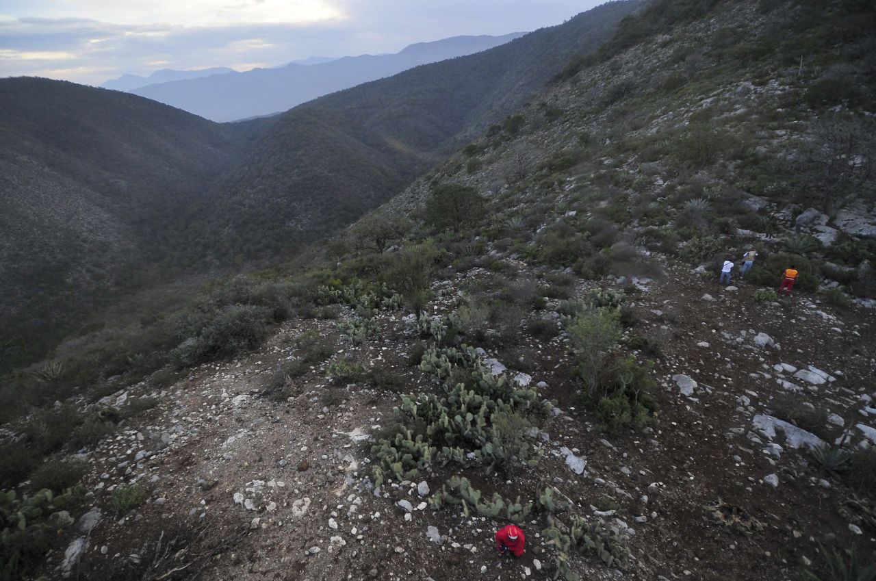 Workers search around the accident scene in Mexico's Sierra Madre Oriental mountain range.