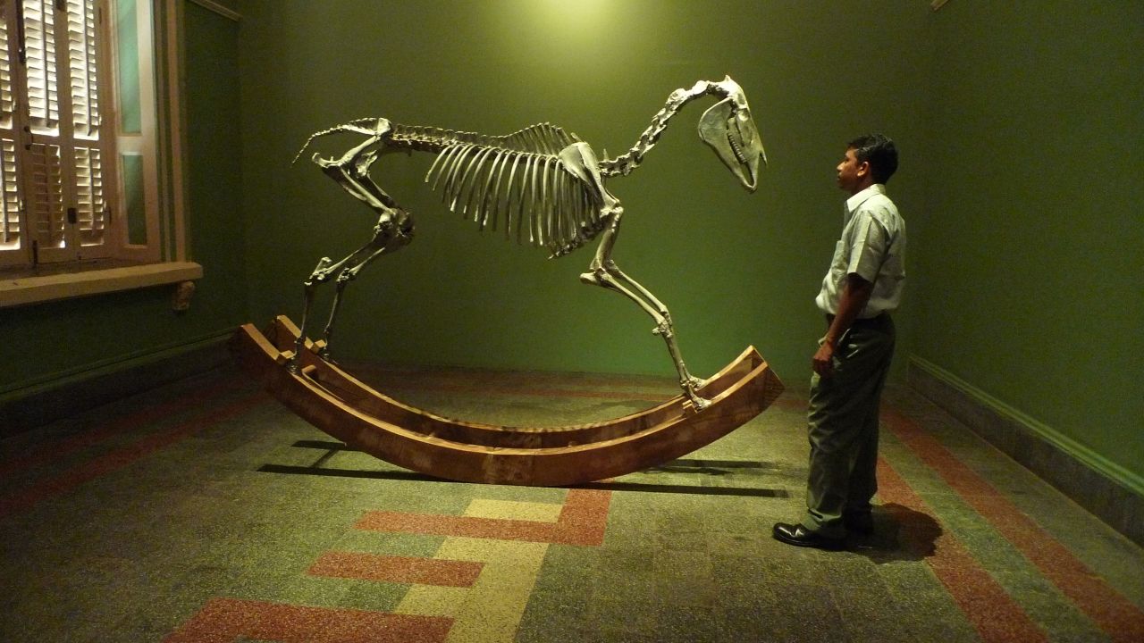 The biennale also attracts artists such as Sudarshan Shetty, whose previous works have included this aluminum and wood sculpture known as "This too shall pass."