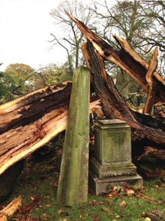 Superstorm Sandy destroyed more than 100 trees and badly damaged scores of monuments when it struck the Northeast in late October, according to Green-Wood's president, Richard Moylan.