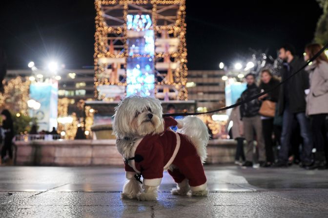 A  dog dressed up for the season is out and about at the annual Christmas illumination of Syntagma Square in Athens, Greece, on December 11. <br />