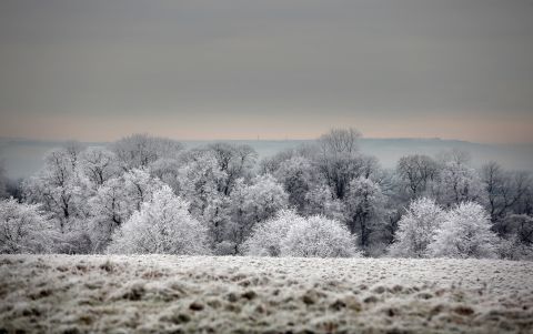 Frost lingers on the trees at Dyrham Park on December 12 near Bath, England.
