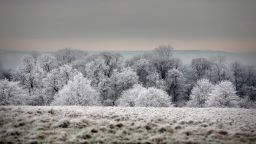 BATH, UNITED KINGDOM - DECEMBER 12:  Frost lingers on the trees at Dyrham Park on December 12, 2012 near Bath, England. Forecasters have warned that the UK could experience the coldest day of the year so far today, with temperatures dropping as low as -14C, bringing widespread ice, harsh frosts and freezing fog. Travel disruption is expected with warnings for heavy snow in some parts of the country.  (Photo by Matt Cardy/Getty Images)