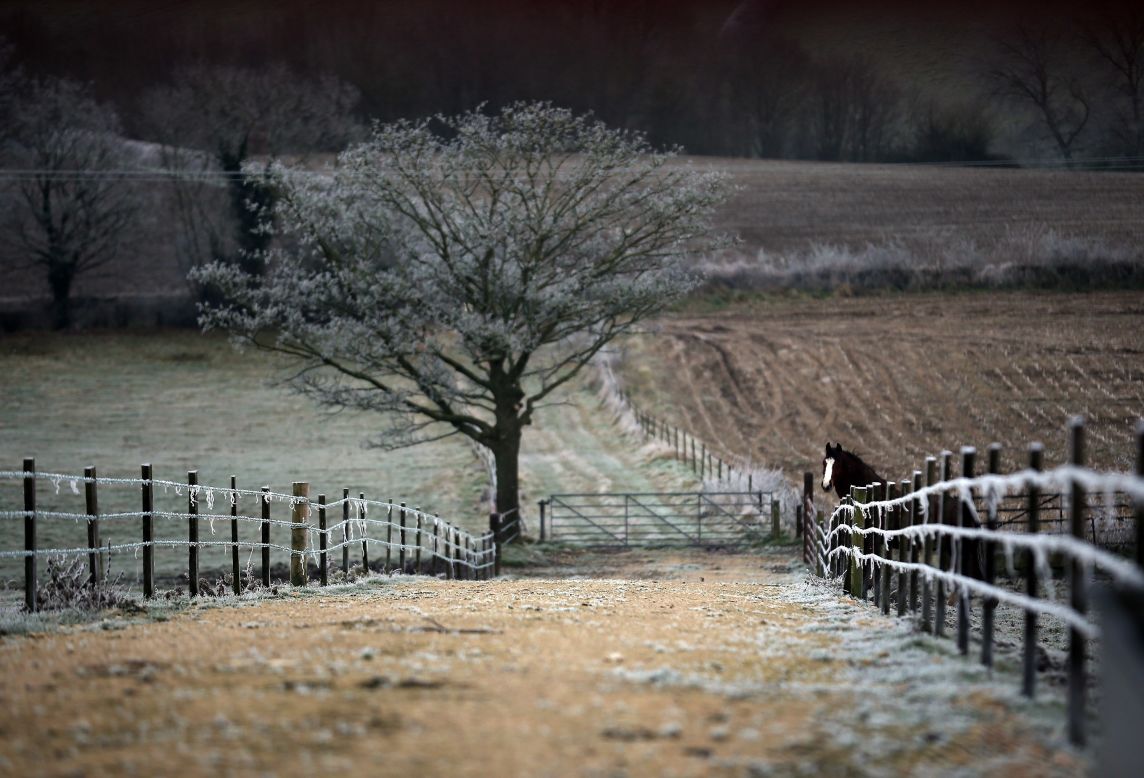 A horse looks out from a frozen field on December 12 in Somerset, England.