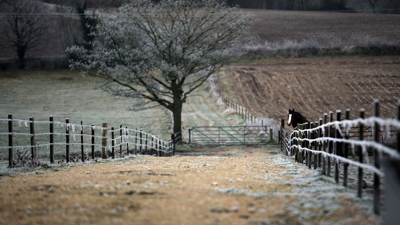 Lookin' hoary.