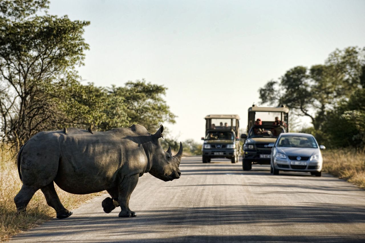 More than 1,200 rhinos were illegally killed in South Africa in 2014 -- <a href="http://news.nationalgeographic.com/news/2015/01/150122-rhino-poaching-south-africa-conservation-science/" target="_blank" target="_blank">an increase of 20% on the previous year</a>, and the highest total since records began.