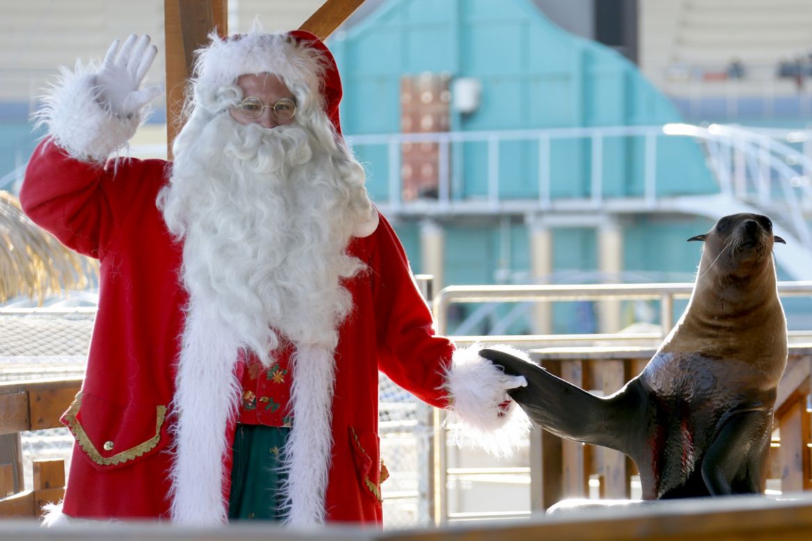 A man dressed in a Santa Claus costume poses with a sea lion at the animal exhibition park Marineland, in France, on December 19.