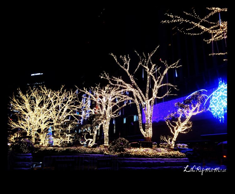<a href="http://ireport.cnn.com/people/LaCrymaMosa">Thai Dang</a> took this sparkling image of the Christmas light display that brightens up the facade of the Lotte Hotel in downtown Seoul, Korea, every festive season. <br /><br />"I took a bunch of photos but this was my favorite," she said. "I liked how the trees stand out from the purple screen board behind ... It is dreamy and fantasy-like."
