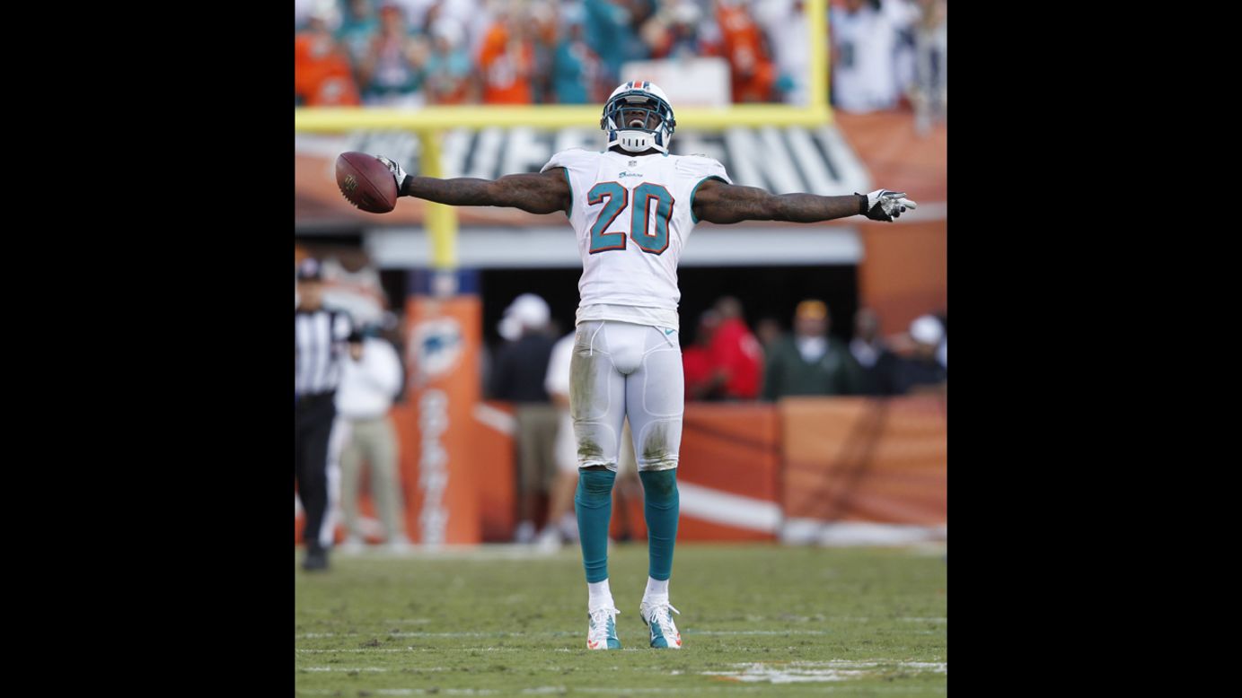 Reshad Jones of the Dolphins celebrates after intercepting a pass by Ryan Fitzpatrick of the Bills late in the fourth quarter on Sunday.