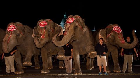 The owners of Ringling Bros. and Barnum & Bailey Circus say allegations of elephant abuse were malicious.