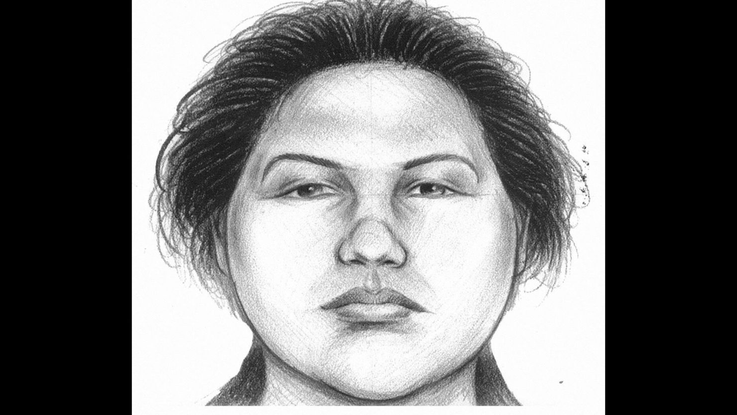 Police investigating the case released this sketch of the person they were seeking.