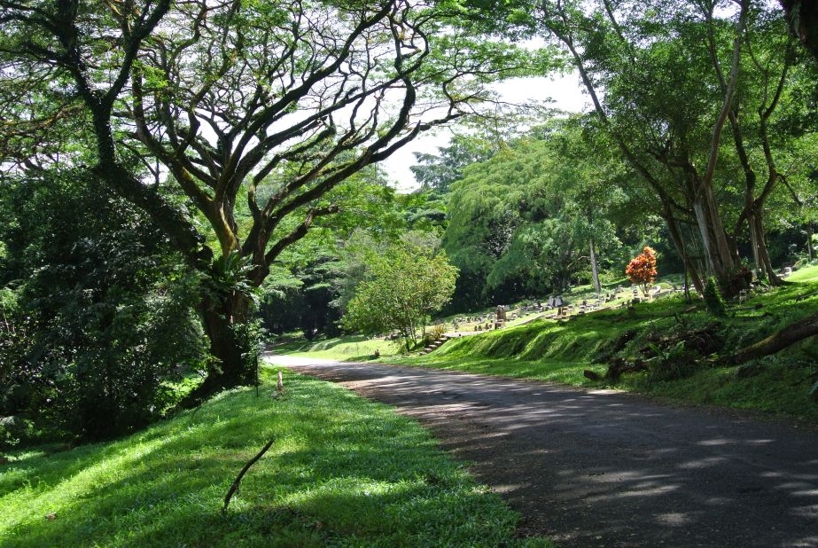 A road in Bukit Brown cemetery, where construction begins in 2013 to create an eight-lane highway. 