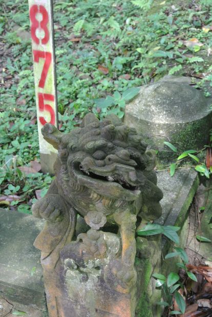 A guardian lion is seen on a grave marked for exhumation in Bukit Brown cemetery.