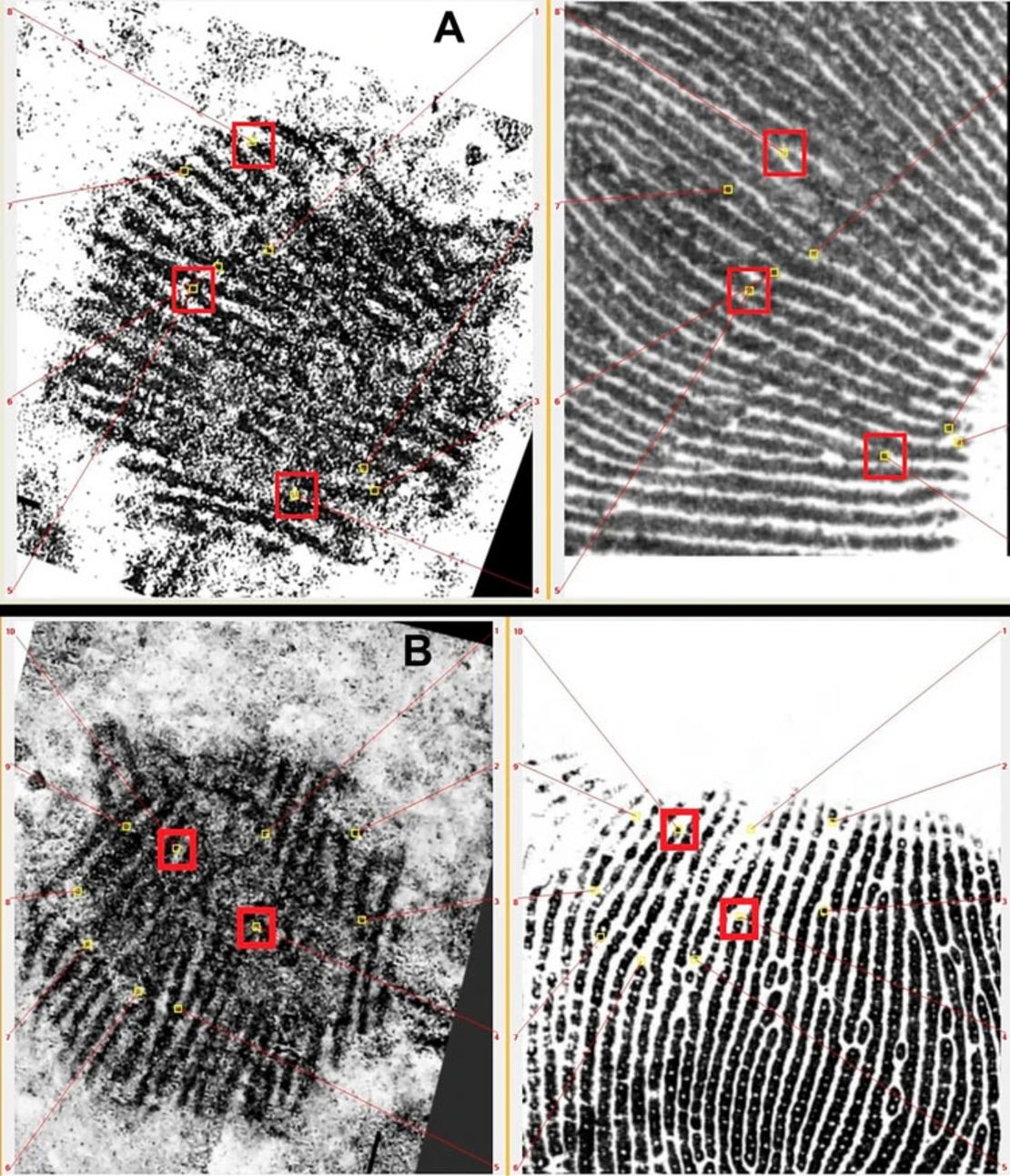 A. Experts gebruikten een geautomatiseerd biometrisch identificatiesysteem om de print te bestuderen. Deze afbeeldingen tonen karakteristieke punten die worden gedetecteerd door het systeem dat samenvalt met het centrale deel van een vinger. B. Karakteristieke punten die hier worden geïdentificeerd, vallen samen met de palm.