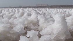 Rime forms on north China salt lake | CNN