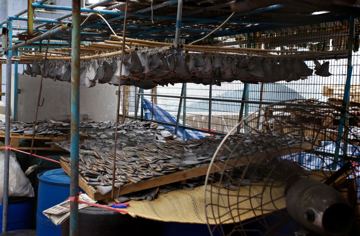 Las aletas de tiburón solían ser puestas a secar abiertamente sobre el nivel del suelo en Hong Kong, pero encontrar otro lugar para que se sequen -fuera de la vista del público- podría ser una manera para que los comerciantes de aletas de tiburón evitaran las críticas.