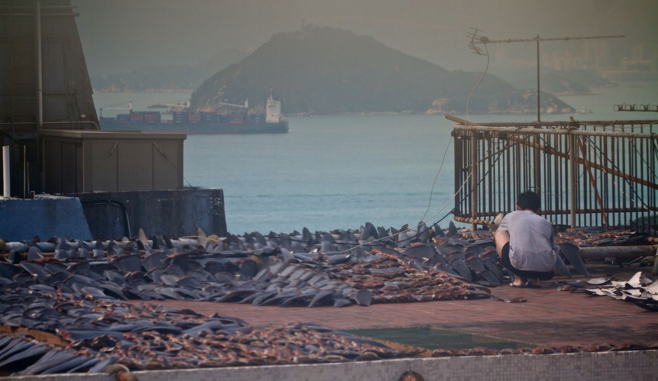 Workers lay out and turn the fins. Stokes told CNN that the workers were "shocked" when the photographers walked out onto the roof on January 1.