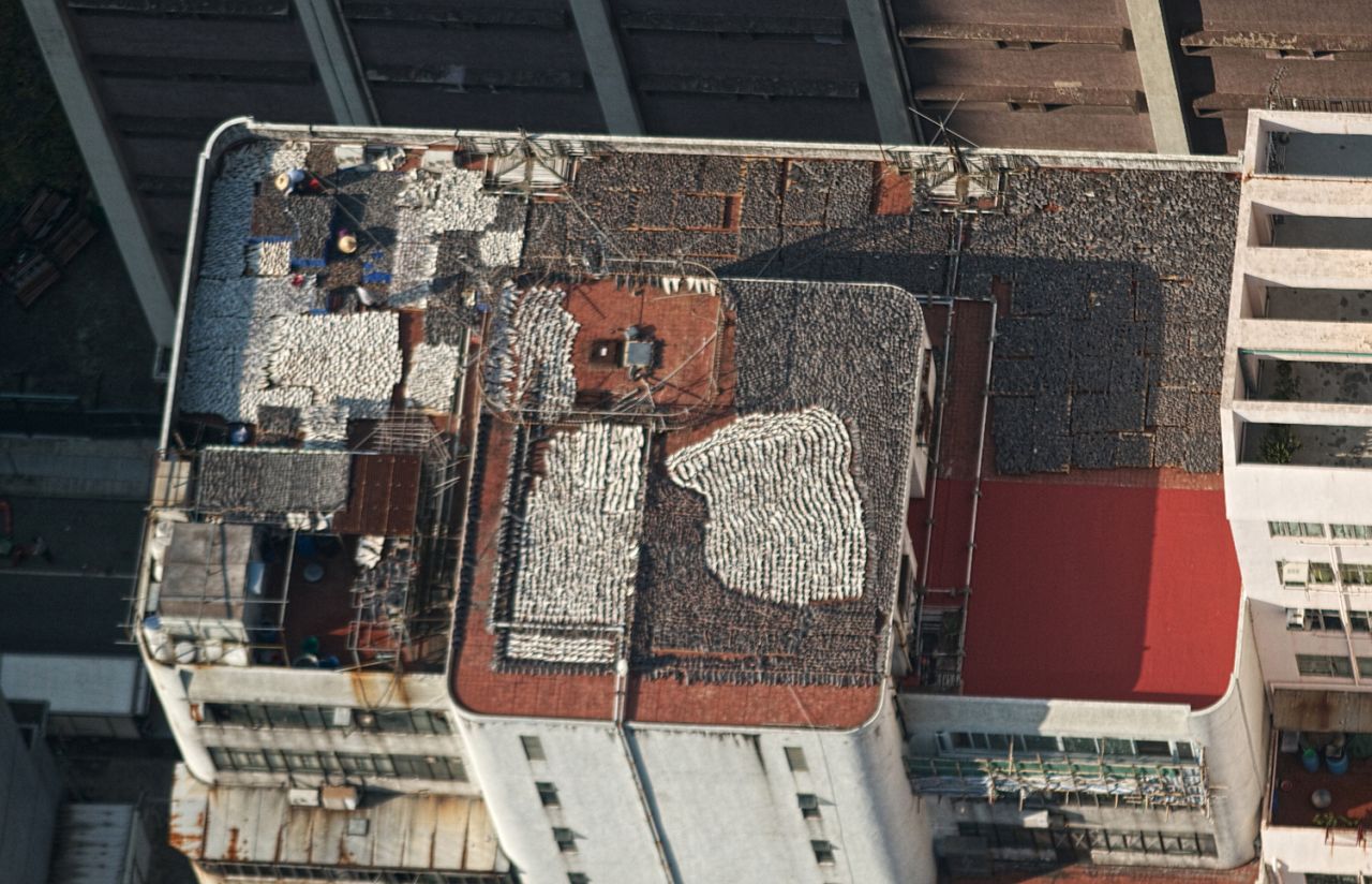 Several thousand shark fins laid out to dry were found on the rooftop of a building housing seafood suppliers in Kennedy Town in central Hong Kong. Photographer Gary Stokes from the <a href="http://www.seashepherd.org" target="_blank" target="_blank">Sea Shepherd Conservation Society</a> received a tip from an unnamed person earlier this year and took these pictures.