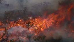 dnt.australia.bush.fires_00005022
