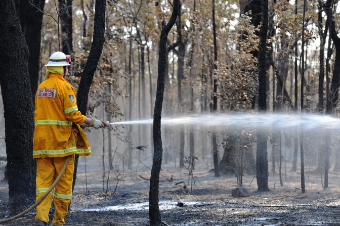 A firefighter douses trees from the Deans Gap fire near Nowra on New South Wales' southern coast on January 9.