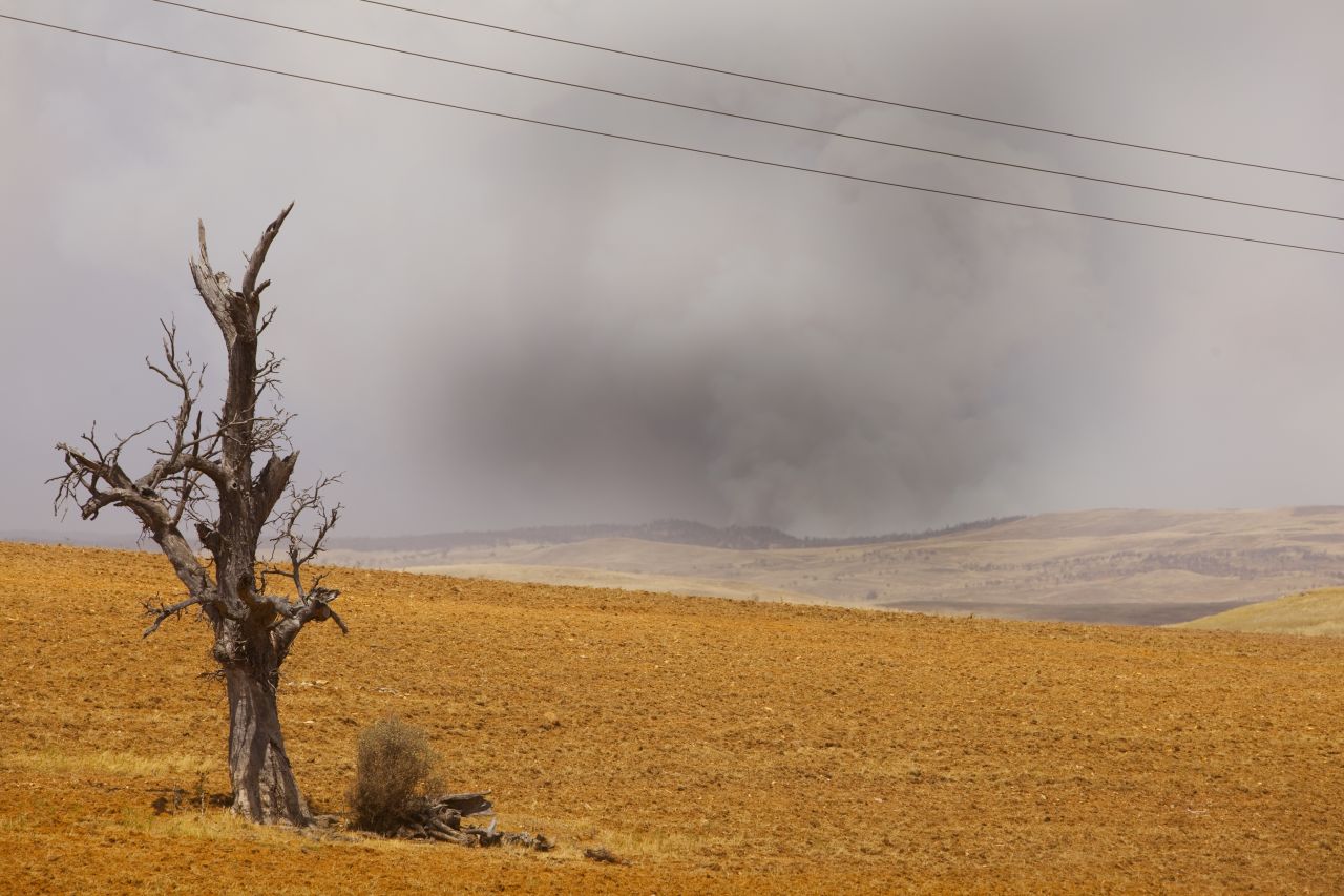 Smoke rises from a wildfire in Nimmitabel, a town in New South Wales, on Tuesday, January 8.