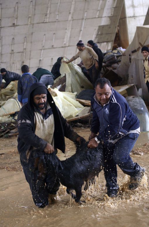 Lebanese farmers rescue a goat from the heavy rains and blusterous winds that the region encounters on January 7, 2013 in the Lebanese southern city of Jadra.