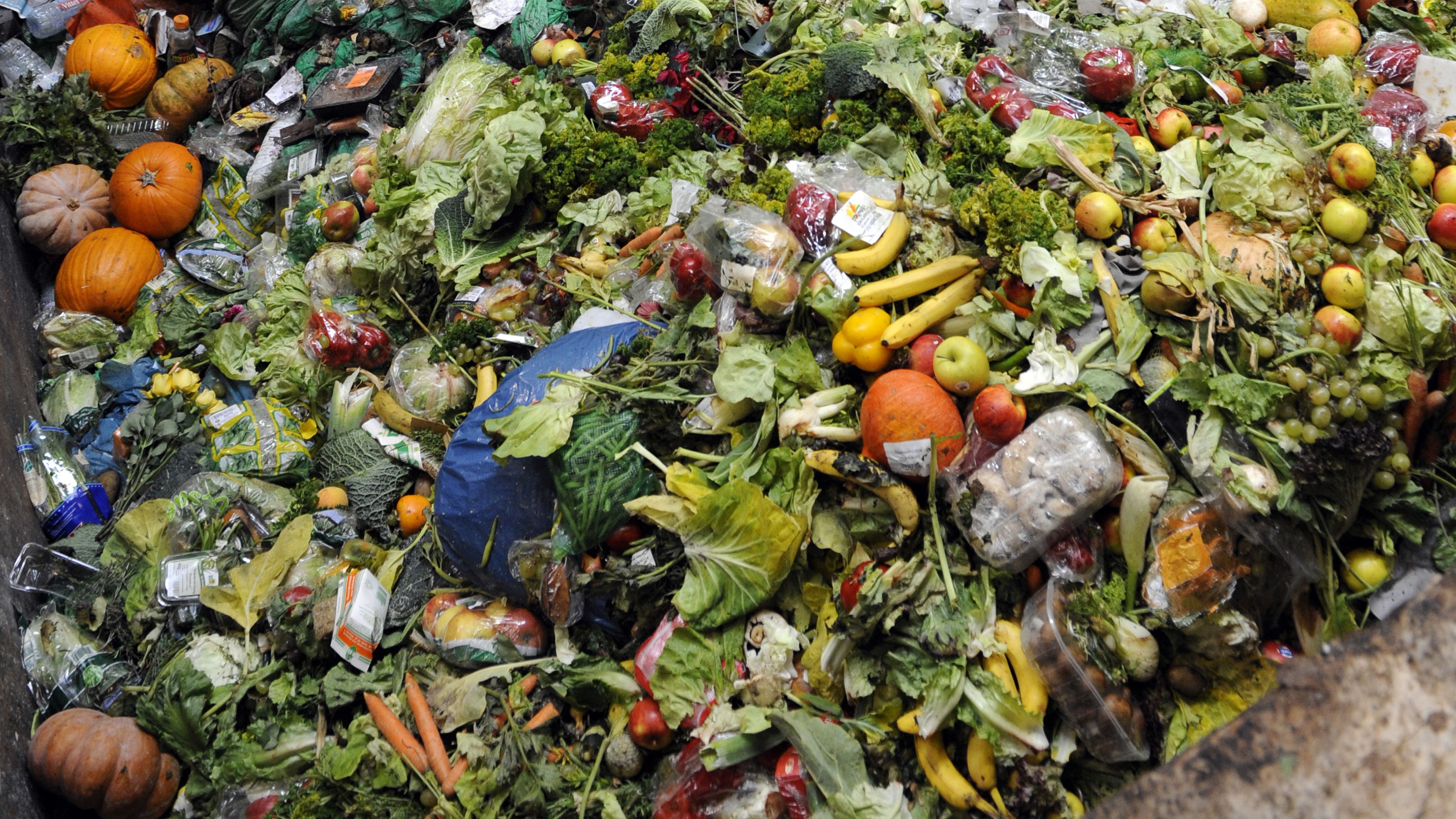 Waste food products stocked at the Methavalor factory in Morsbach, France on October 23, 2012.
