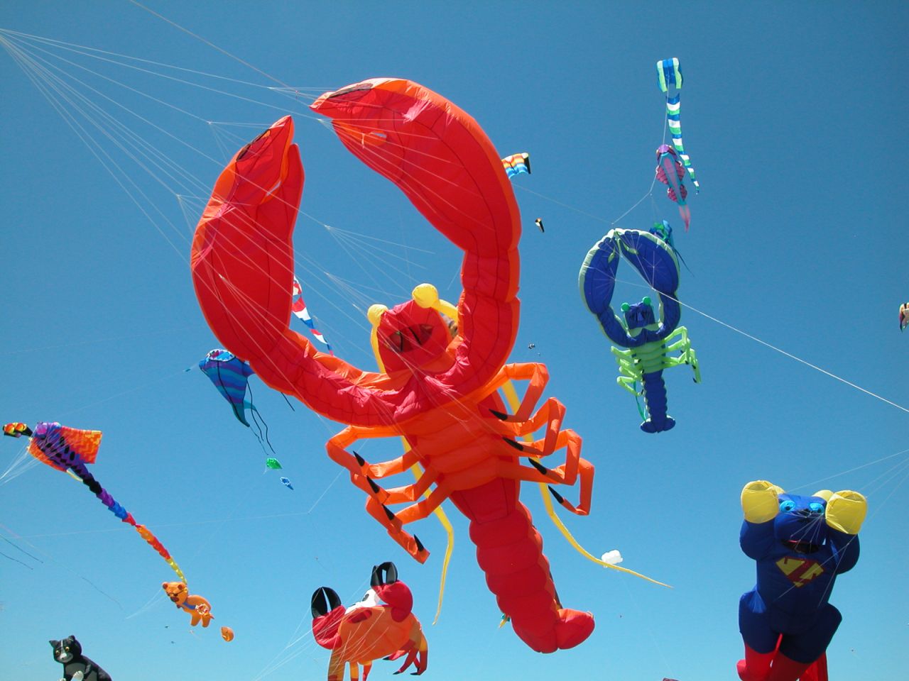 Florida's Boca Beach Club offers the unusual service of a "kite concierge". Former math teacher Randy Lowe, "the kiteman", holds a beachfront novelty kite-flying program for budding young fliers. 