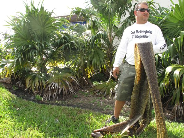 Dave Leibman, 46, has hunted pythons all his life. His friends, co-workers and even his wife call him "Python Dave." But he has reservations about average Joes entering the Everglades to kill a species of snake that he "loves." When he captures a Burmese python, he brings it to the FWC to have it humanely euthanized.