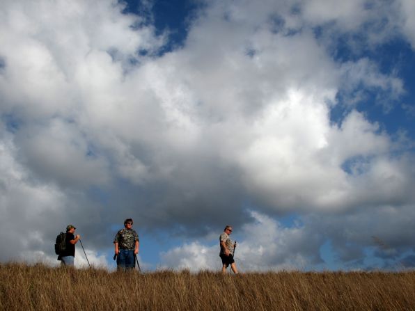 The Pawlowskis and Jimmy Harper use machetes to cut away shrubs and sawgrass. They prod every hole they stumble across with sticks hoping to find a coiled Burmese python on the second day of the monthlong hunt.