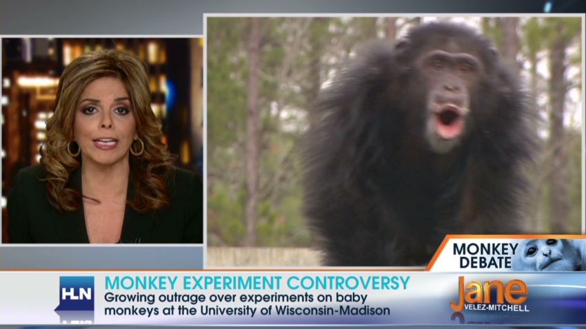 did the 5 monkey experiment happen