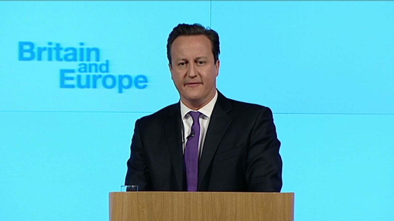 sot cameron eu vote referendum_00000128.jpg