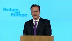 sot cameron eu vote referendum_00000128.jpg