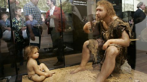 A display of a reconstruction of a Neanderthal man and boy at the Museum for Prehistory in Eyzies-de-Tayac, France.