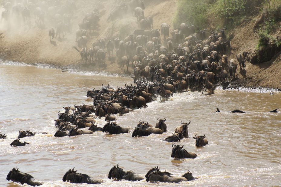 Started as a family-run operation in Kenya in 1962, Abercrombie & Kent has become one of the world's adventure travel success stories. Safaris are still a mainstay of its operation, which now includes trips in more than 100 countries. 