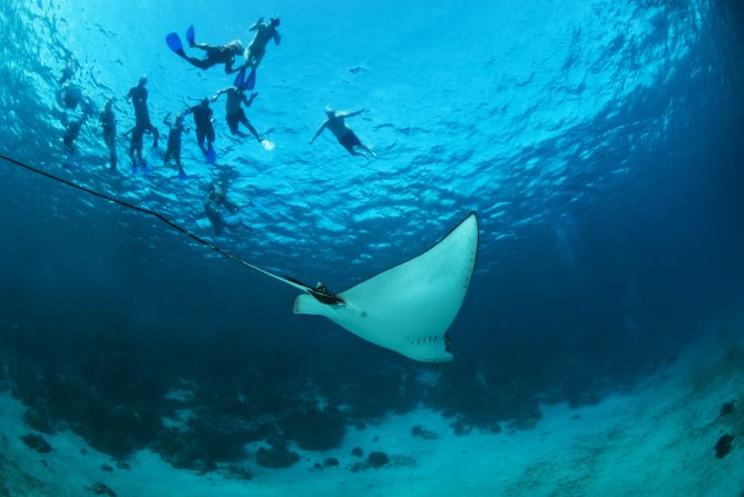 Hol Chan is Mayan for "little channel" and this 30-foot-deep cut through the reef makes the Hol Chan Marine Reserve one of the best places for snorkeling and diving. Be sure to drift into Shark Ray Alley where you can swim with both, if you're up for it.