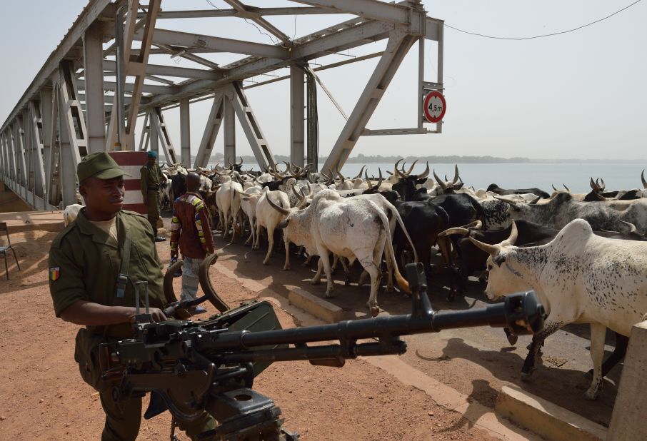 A Malian soldier armed with a machine gun watches a herd of cattle crossing a bridge over the Niger River on January 24. Mali's military offensive against militants controlling the northern half of the country has gathered pace in the past two weeks, with backing from France and other international allies.