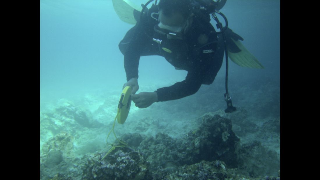 A diver from the Philippines coast guard measures coral damage on the Tubbataha Reef on January 22 in another handout photo. The reef is a Philippines national park and UNESCO World Heritage Site. 