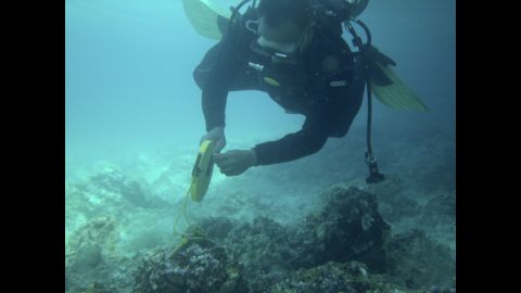 A diver from the Philippines coast guard measures coral damage on the Tubbataha Reef on January 22 in another handout photo. The reef is a Philippines national park and UNESCO World Heritage Site. 