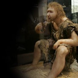Statue displays what scientists believe a Neanderthal man may have looked like